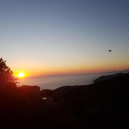 Villa Confina Villanova Eksteriør bilde