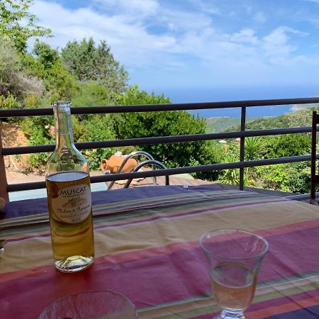 Villa Confina Villanova Eksteriør bilde
