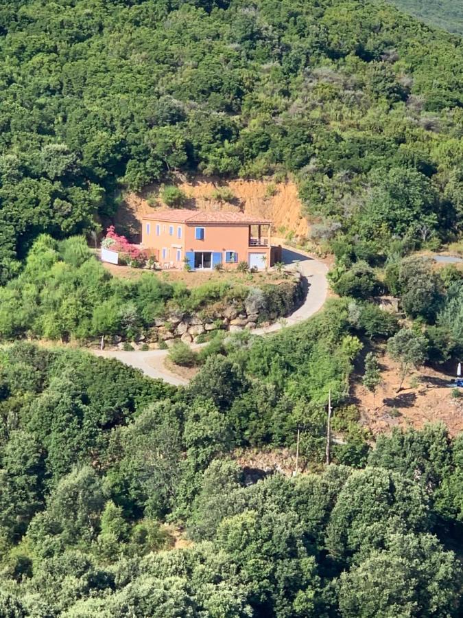 Villa Confina Villanova Eksteriør bilde