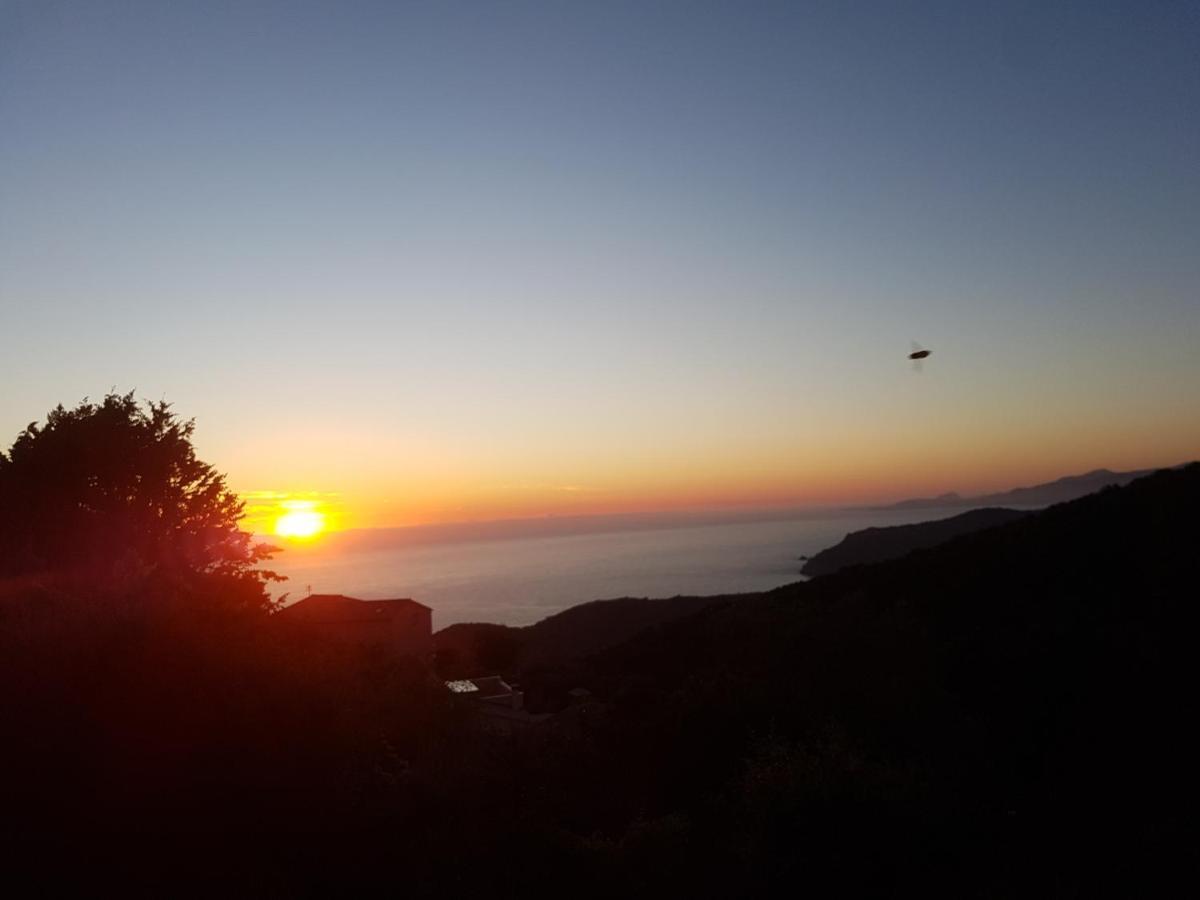 Villa Confina Villanova Eksteriør bilde